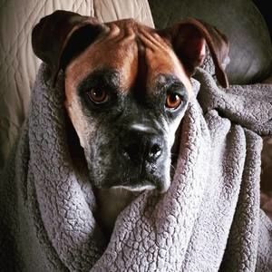 Meet your Posher, Lorah